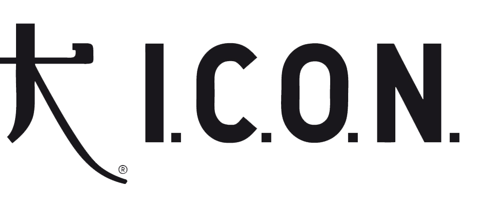 Icon logo